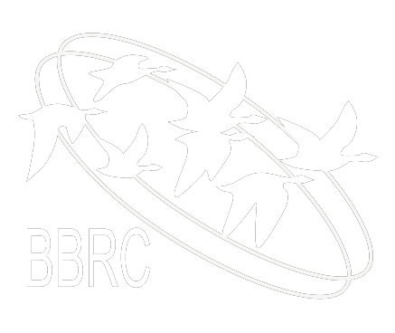BBEC logo