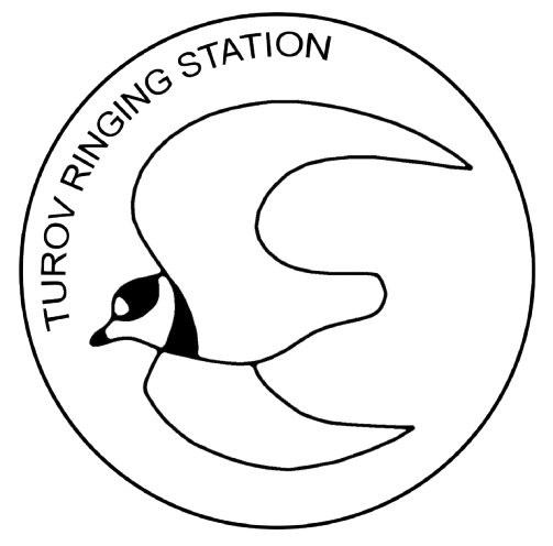 Логотип сканции кольцевания птиц в Турове
